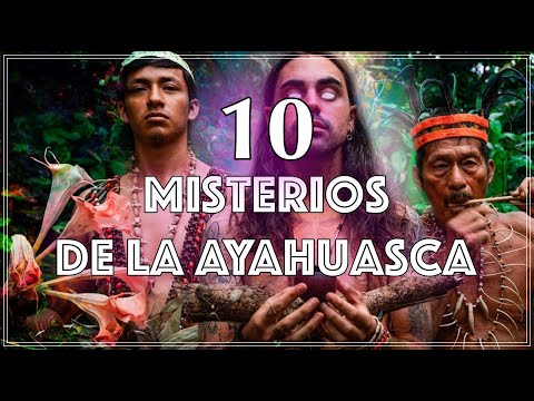 Ayahuasca en Puerto Rico: Un viaje transformador hacia la conciencia