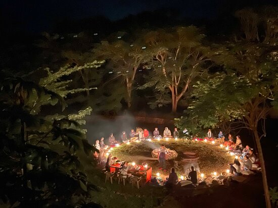 Ayahuasca in Mexico: Top Retreats Revealed