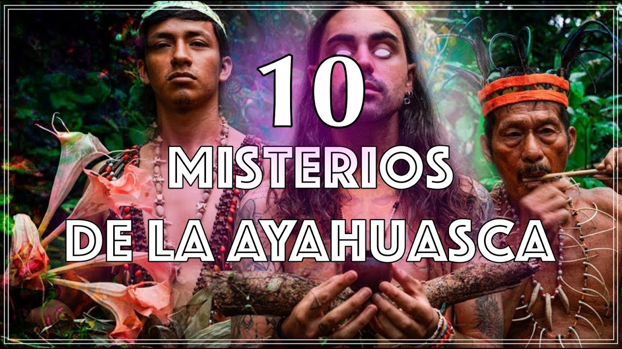 Explorando los misterios de la Ayahuasca en Colorado: Un viaje transformador hacia lo profundo del ser