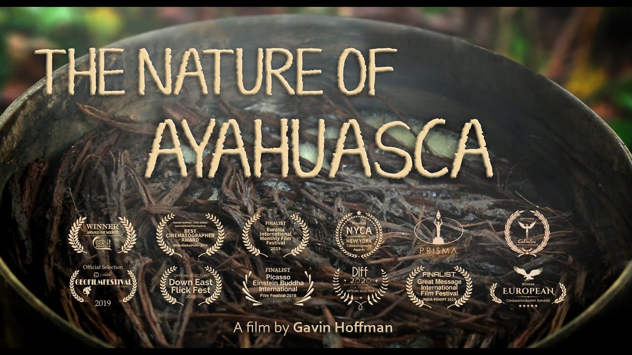 Los mejores documentales sobre Ayahuasca: una ventana a la experiencia transformadora